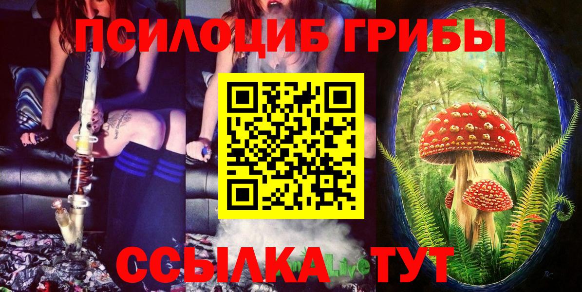 Псилоцибиновые грибы Psilocybine cubensis Энгельс